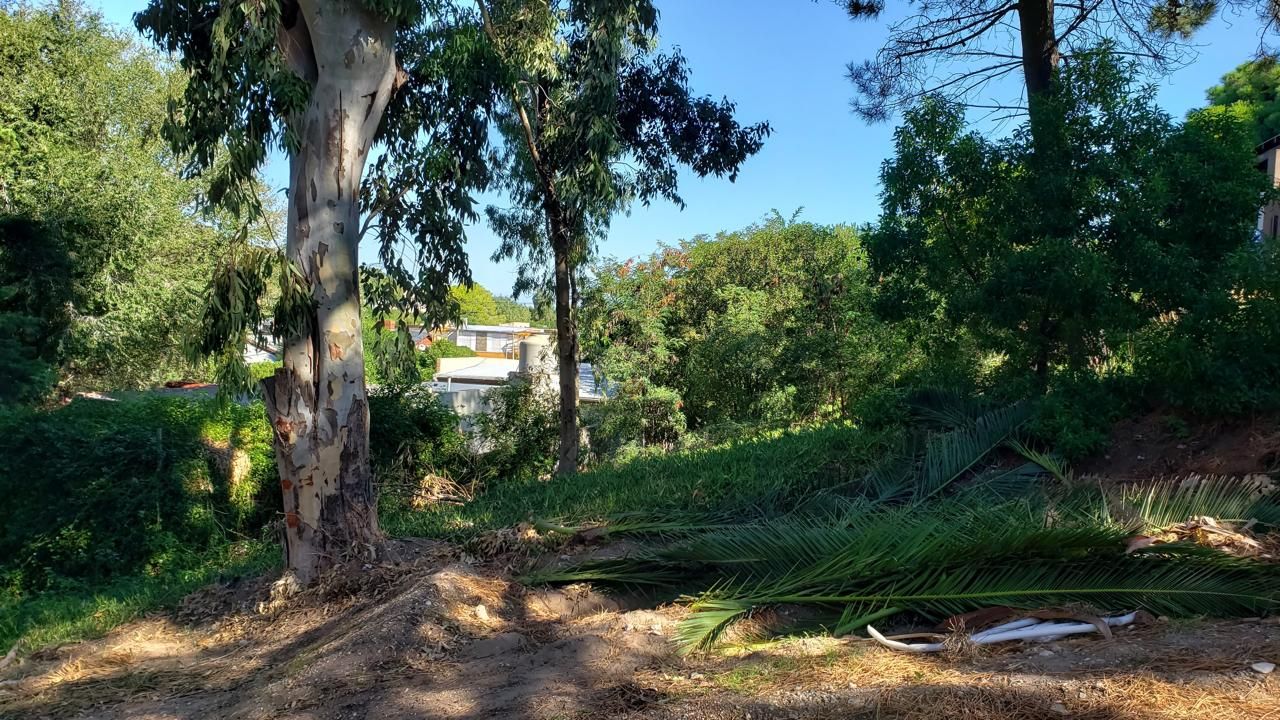Terreno en Venta en Camarones 1300, Las Dunas, Monte Hermoso - Bahía Blanca Propiedades | SITIO OFICIAL l