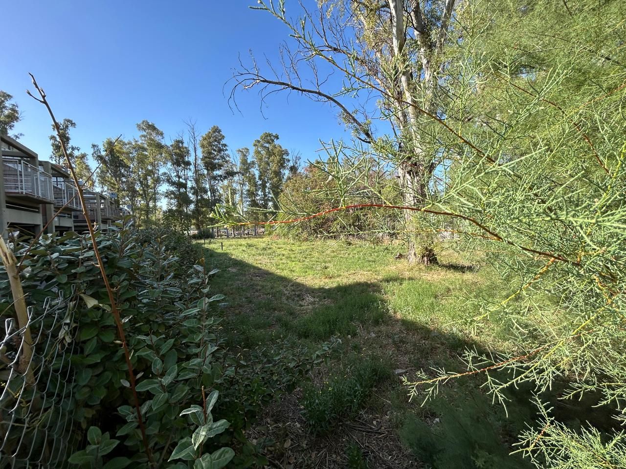 Terreno en Venta en Florida 1200, Paseo de la Mujer, Bahía Blanca - Bahía Blanca Propiedades | SITIO OFICIAL l
