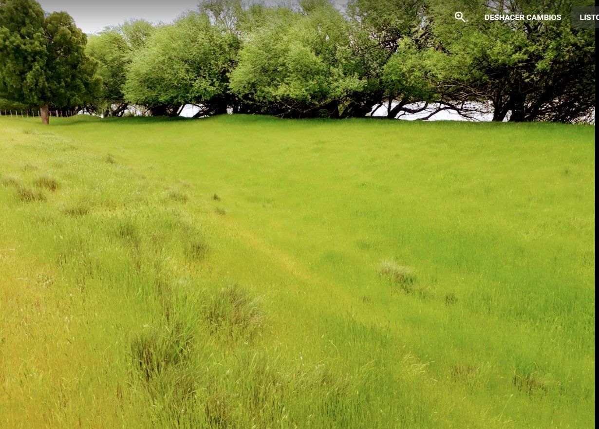 Terreno en Venta - Bahía Blanca Propiedades | SITIO OFICIAL l
