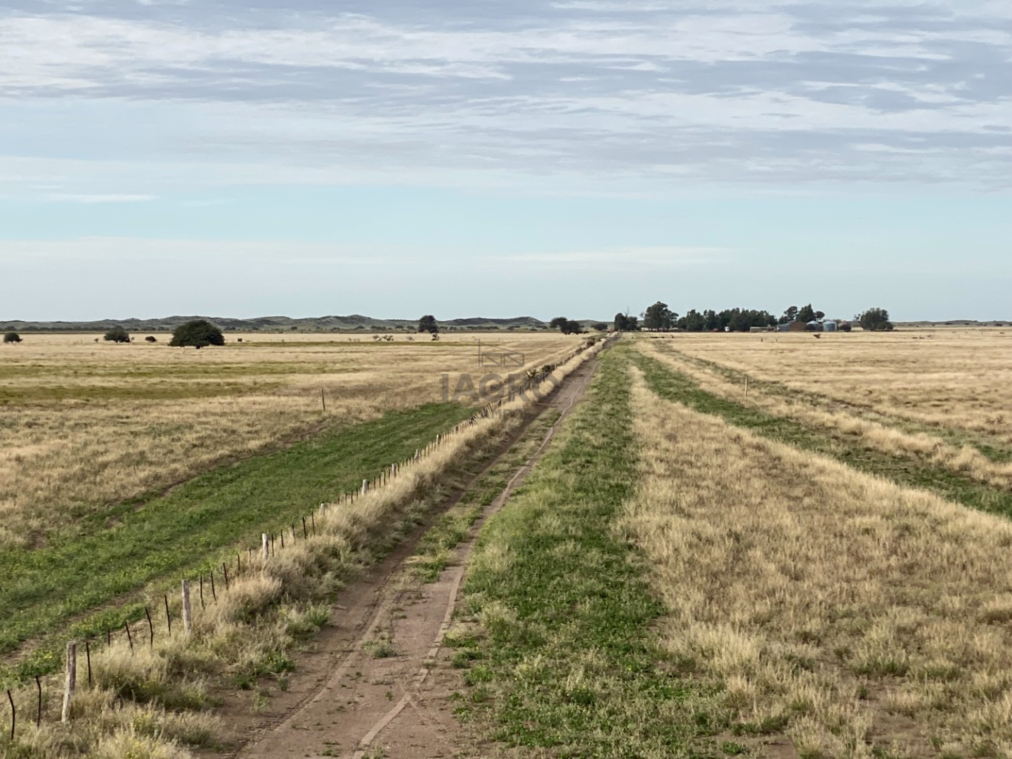 Campo  en Venta en Puan,  Puan - Bahía Blanca Propiedades | SITIO OFICIAL l