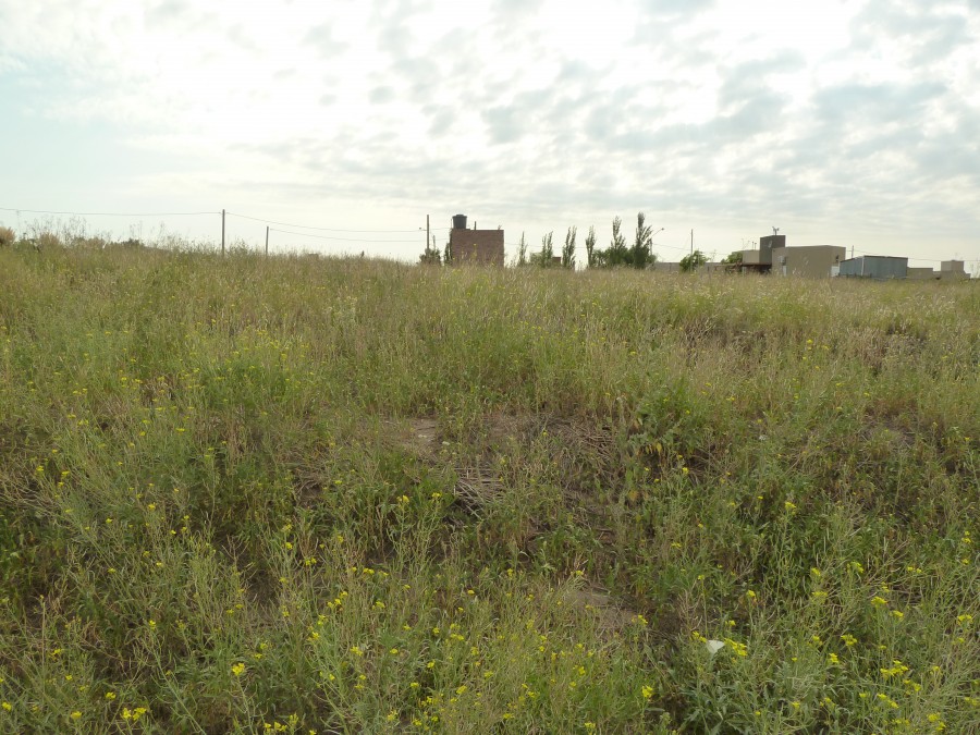 Terreno en Venta en Luis Vera , Parque Norte, Bahía Blanca - Bahía Blanca Propiedades | SITIO OFICIAL l