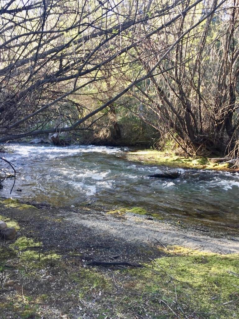 Campo  en Venta en El Bolsón ,  El Bolsón - Bahía Blanca Propiedades | SITIO OFICIAL l