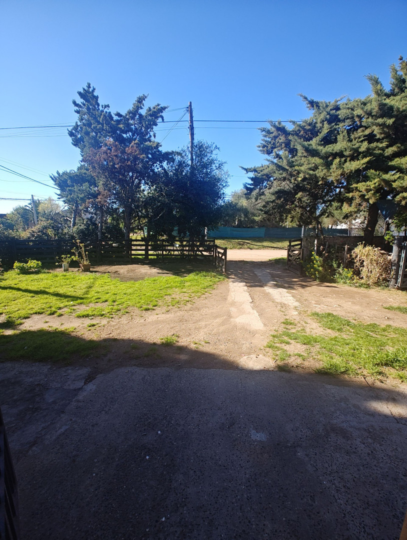 Casa en Alquiler en Javier Rizzo 782, Nueva Belgrano, Bahía Blanca - Bahía Blanca Propiedades | SITIO OFICIAL l