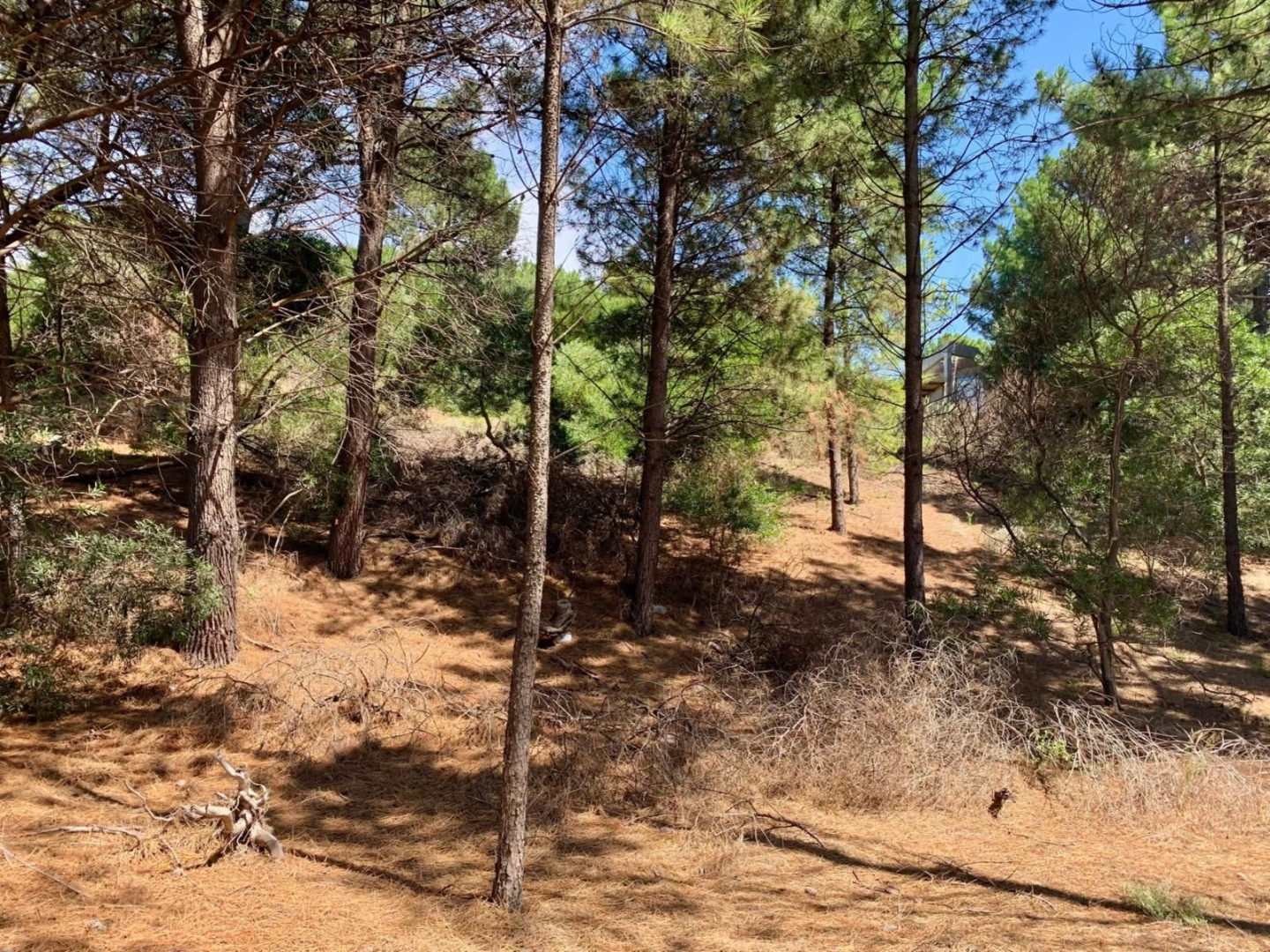Terreno en Venta en El Pato 500, Pinar del Golf, Monte Hermoso - Bahía Blanca Propiedades | SITIO OFICIAL l