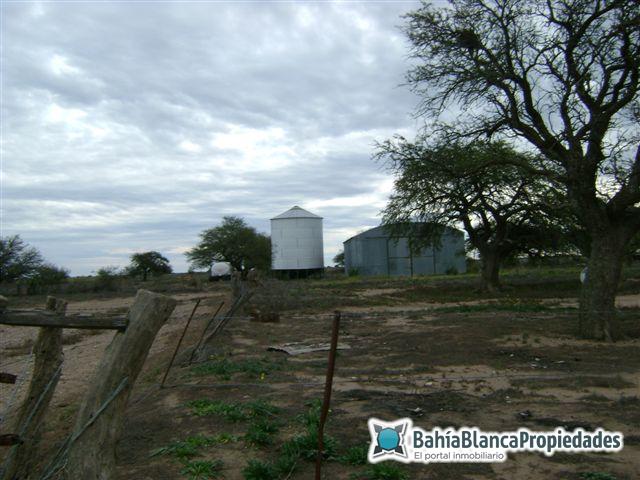 Campo  en Venta en ALGARROBO,  Villarino - Bahía Blanca Propiedades | SITIO OFICIAL l