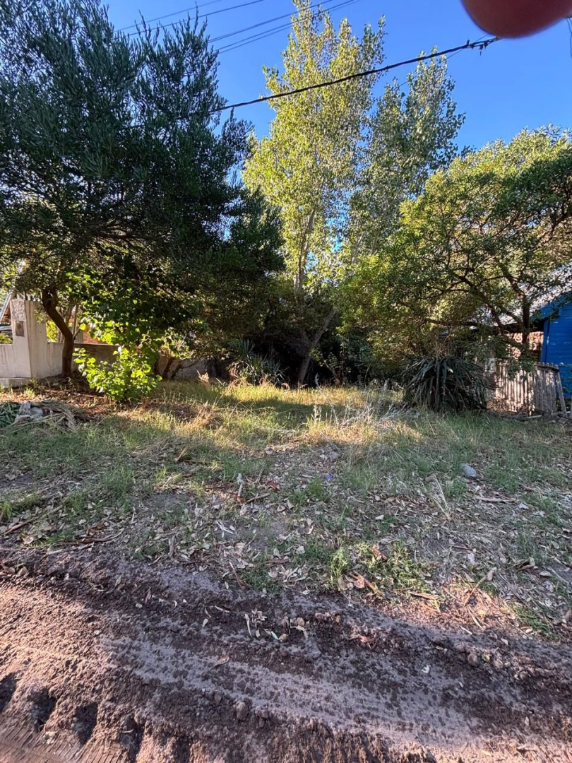 Terreno en Venta en Rodriguez Peña Y Cabo Corrientes, El Sauce, Monte Hermoso - Bahía Blanca Propiedades | SITIO OFICIAL l