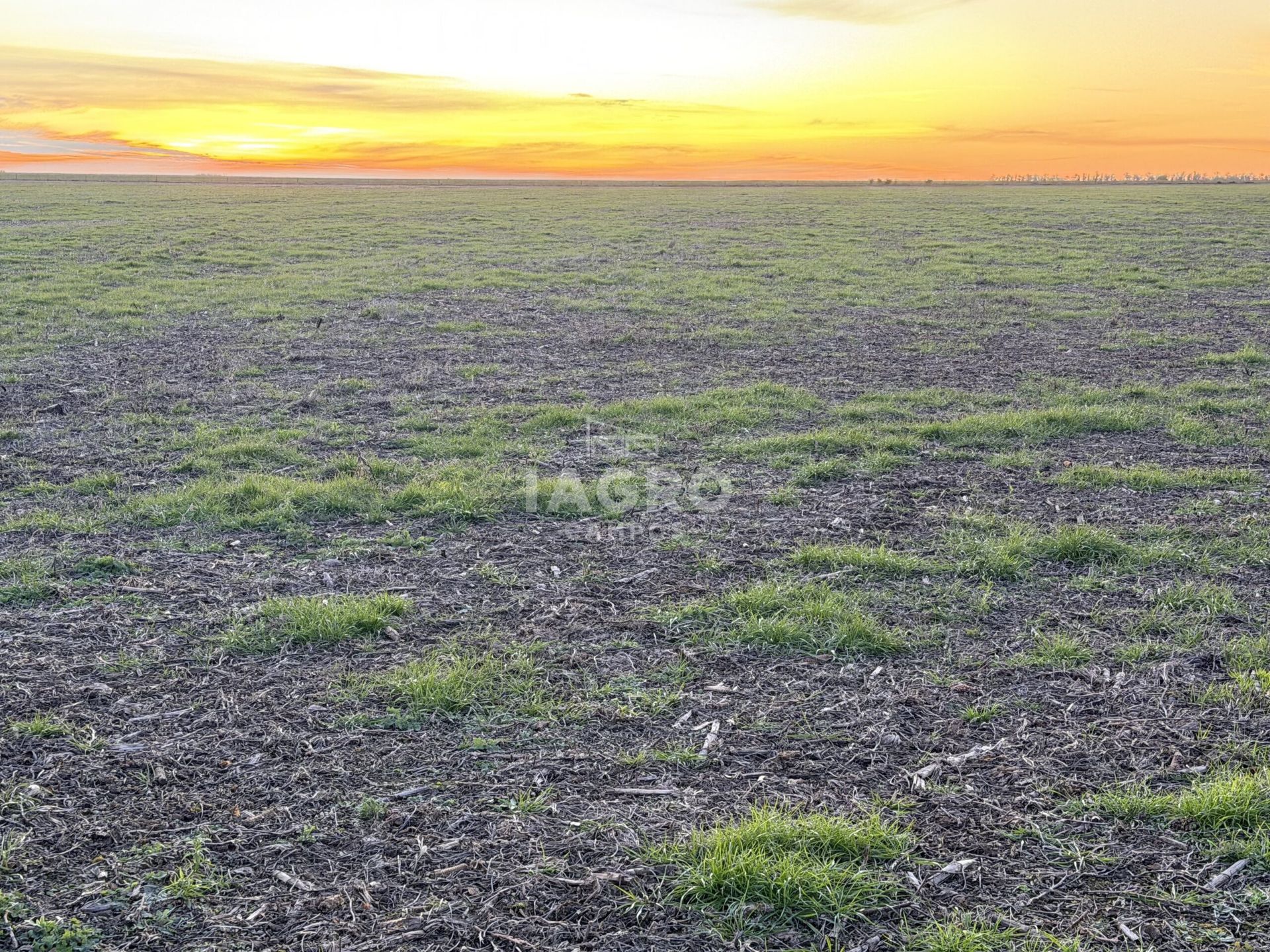Campo  en Venta en Claudio Molina,  Tres Arroyos - Bahía Blanca Propiedades | SITIO OFICIAL l