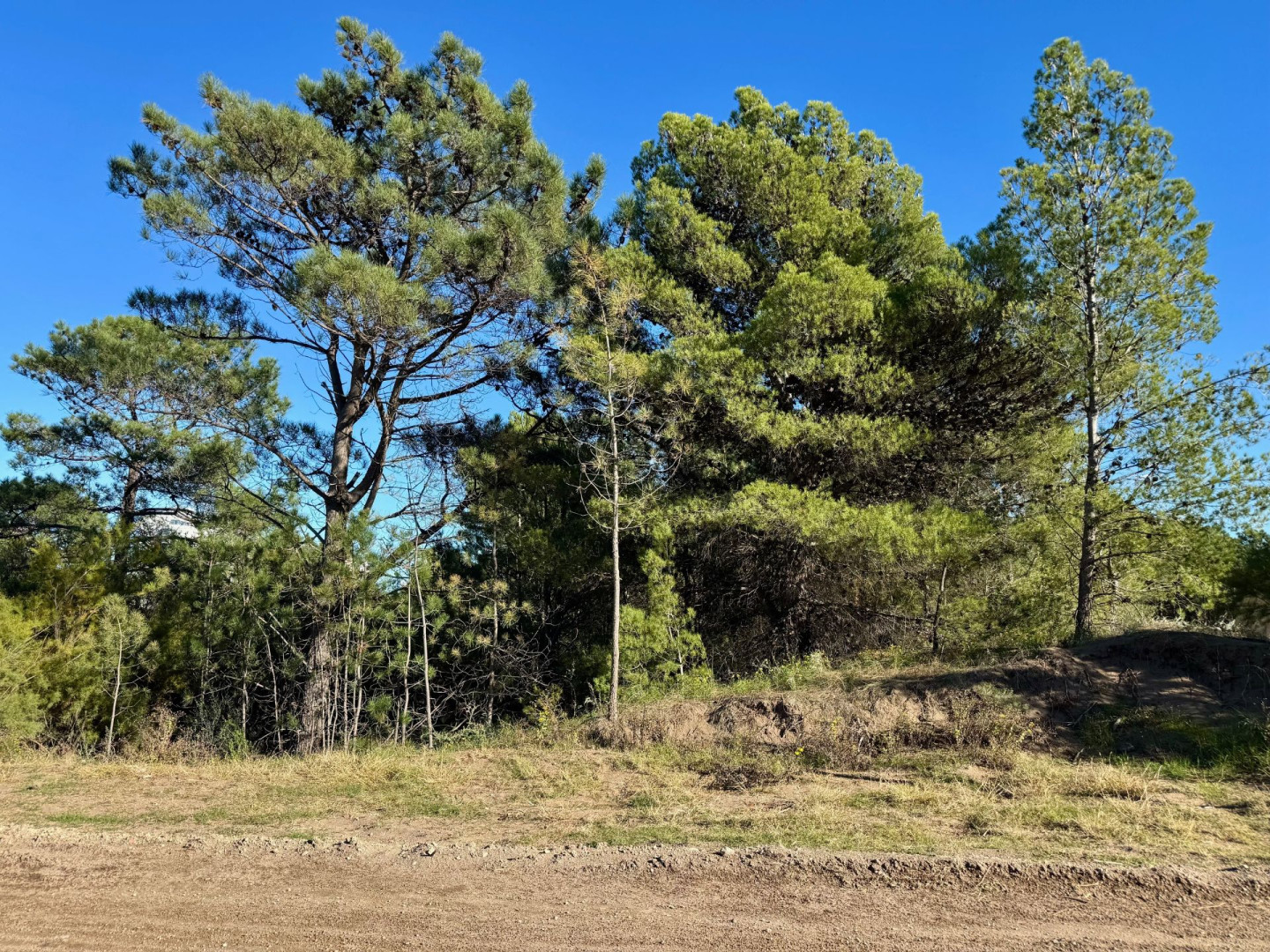 Terreno en Venta en Flamencos Y Martinetas, Monte del Este, Monte Hermoso - Bahía Blanca Propiedades | SITIO OFICIAL l
