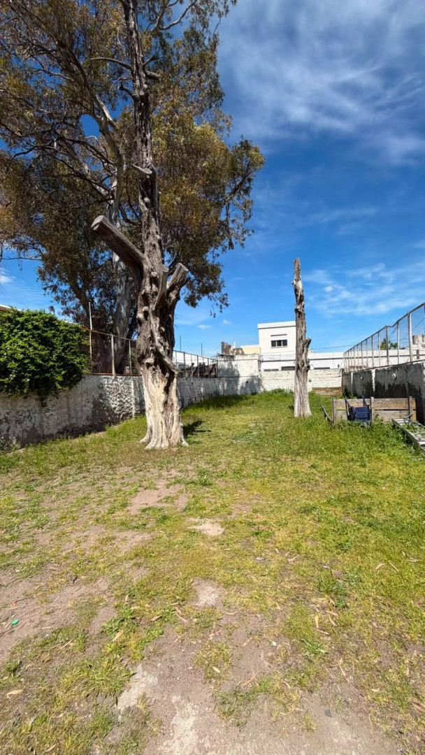 Local en Alquiler en Chiclana 627,  Bahía Blanca - Bahía Blanca Propiedades | SITIO OFICIAL l