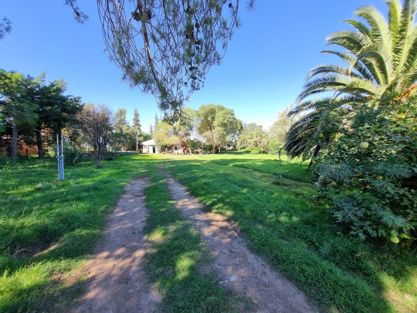 Casa en Venta en Paula Albarracín 850, Los Chañares, Bahía Blanca - Bahía Blanca Propiedades | SITIO OFICIAL l