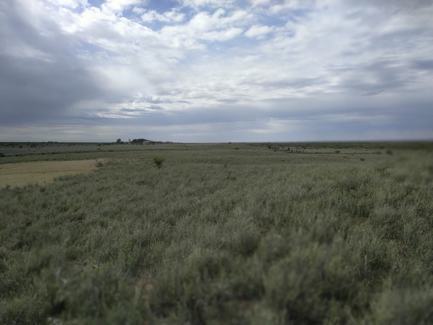 Campo  en Venta en Hucal-La Pampa,  Bahía Blanca - Bahía Blanca Propiedades | SITIO OFICIAL l