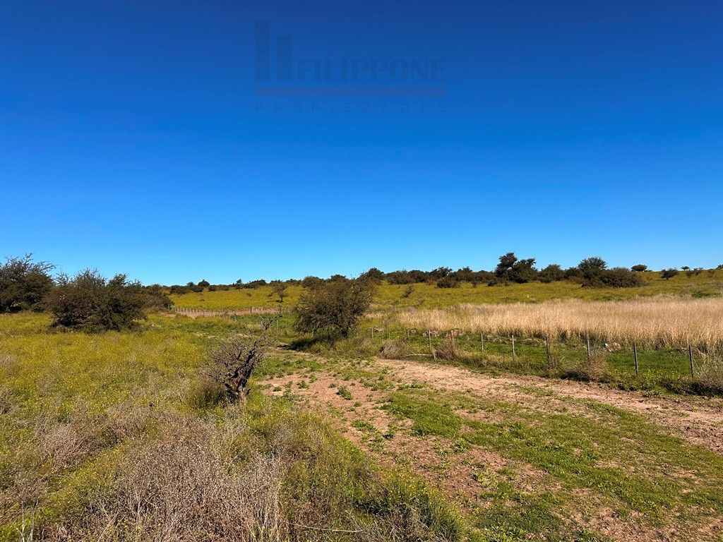 Campo  en Venta en Ruta 35 - Bahía Blanca Propiedades | SITIO OFICIAL l