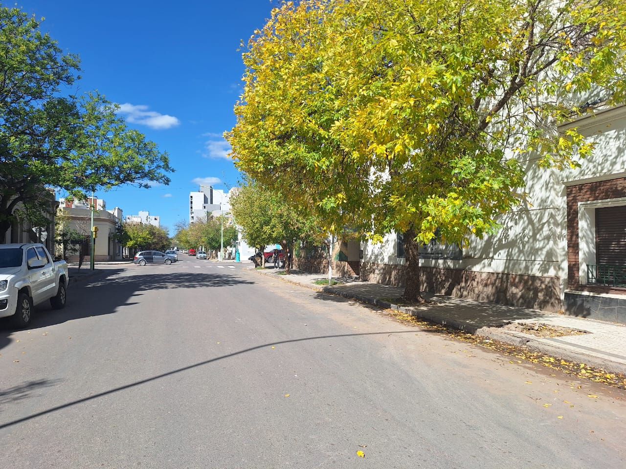 Casa en Venta en Lamadrid 369, Centro, Bahía Blanca - Bahía Blanca Propiedades | SITIO OFICIAL l