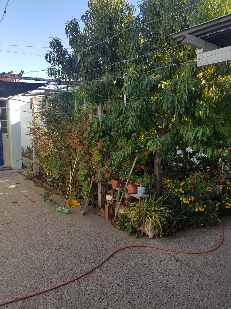 Casa en Venta en Jauretche 2754, Banco Provincia, Bahía Blanca - Bahía Blanca Propiedades | SITIO OFICIAL l