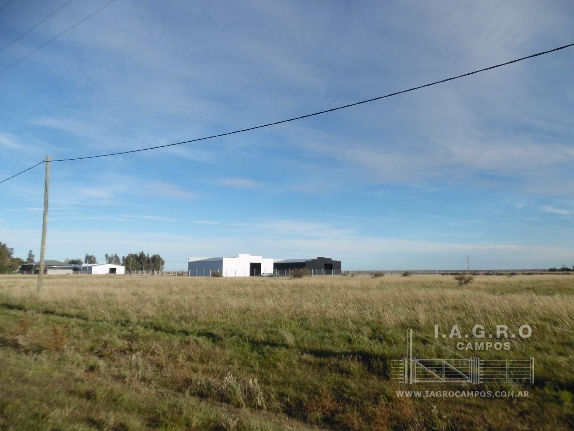 Terreno en Venta en Ruta Nacional 3 Sur Km 695,  Bahía Blanca - Bahía Blanca Propiedades | SITIO OFICIAL l
