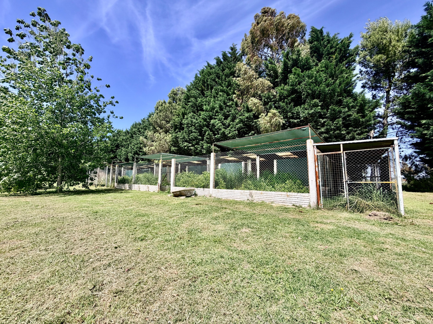 Casa en Venta en José Ingenieros 353,  Coronel Pringles - Bahía Blanca Propiedades | SITIO OFICIAL l