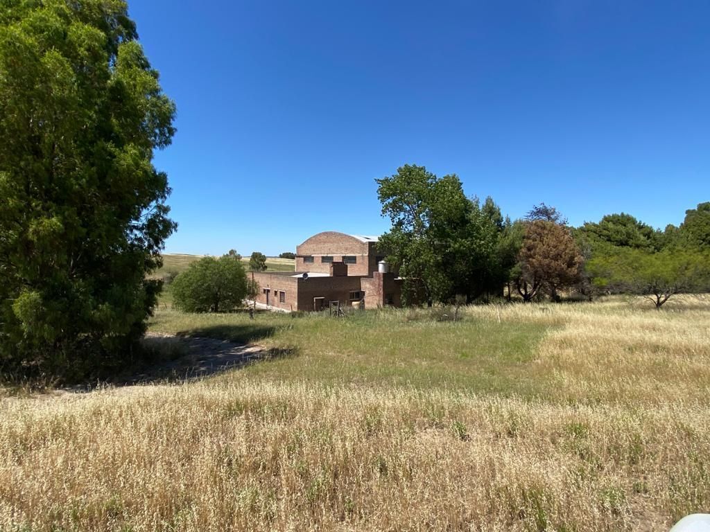 Galpón en Venta en Ruta 3,  Bahía Blanca - Bahía Blanca Propiedades | SITIO OFICIAL l