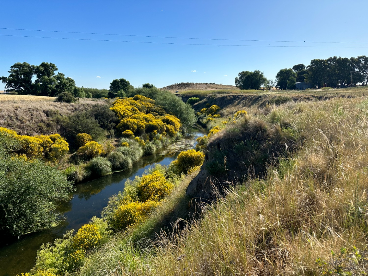 Campo  en Venta en Ruta 33,  Saavedra - Bahía Blanca Propiedades | SITIO OFICIAL l