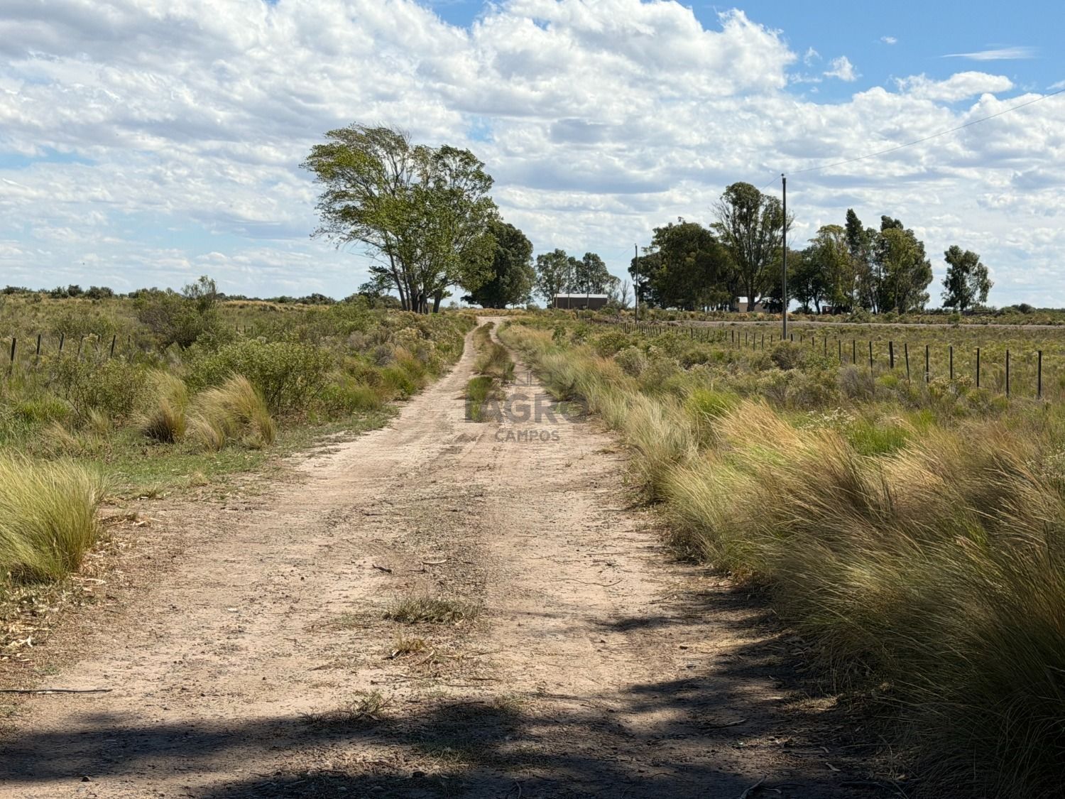 Campo  en Venta en Partido De Patagones,  Juan A. Pradere - Bahía Blanca Propiedades | SITIO OFICIAL l