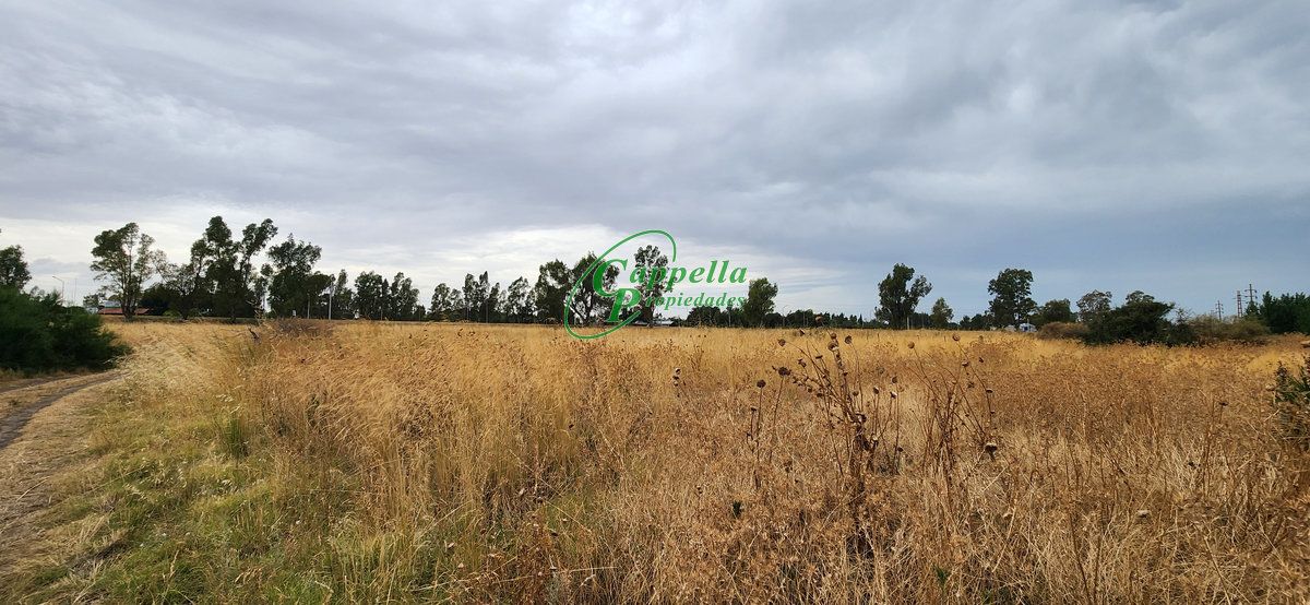 Terreno en Venta   Punta Alta - Bahía Blanca Propiedades | SITIO OFICIAL l