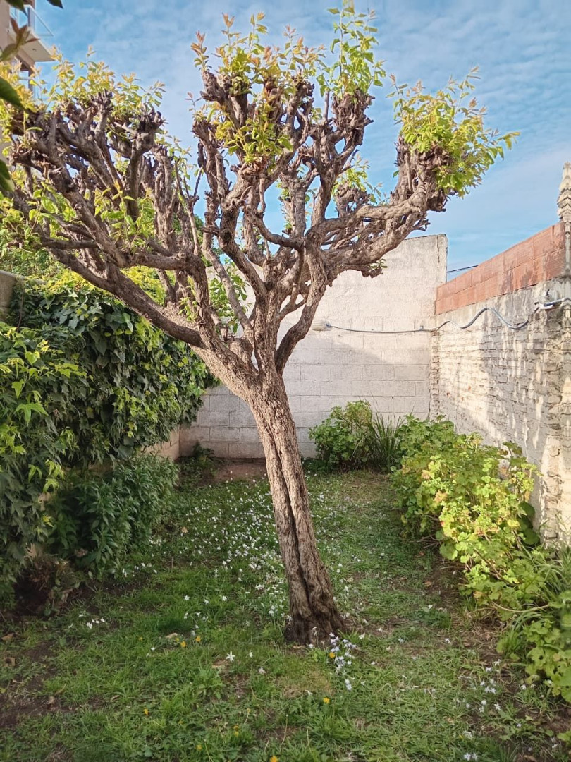 Casa en Alquiler en Almafuerte 300,  Bahía Blanca - Bahía Blanca Propiedades | SITIO OFICIAL l