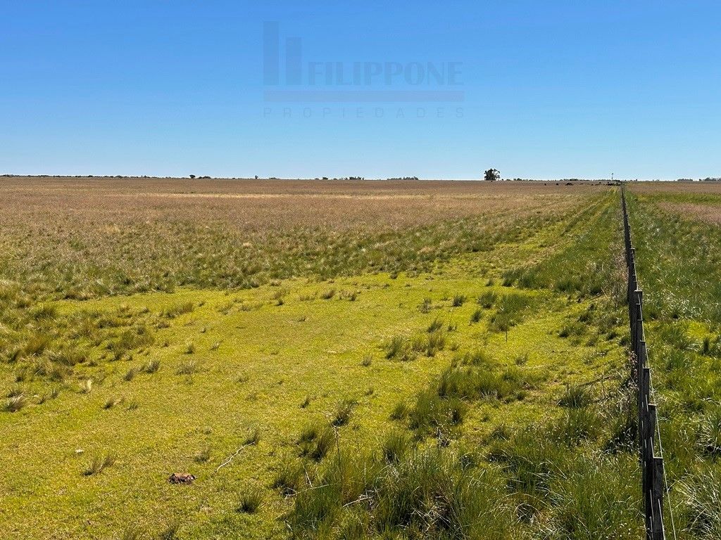 Campo  en Venta en Ruta 35 - Bahía Blanca Propiedades | SITIO OFICIAL l