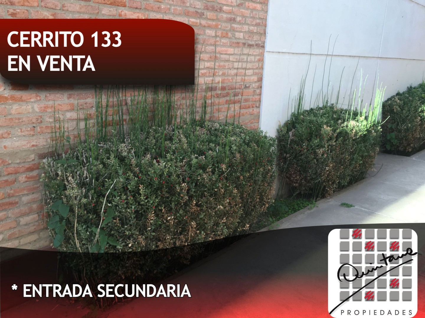 Departamento en Venta en Cerrito 133, Palihue, Bahía Blanca - Bahía Blanca Propiedades | SITIO OFICIAL l