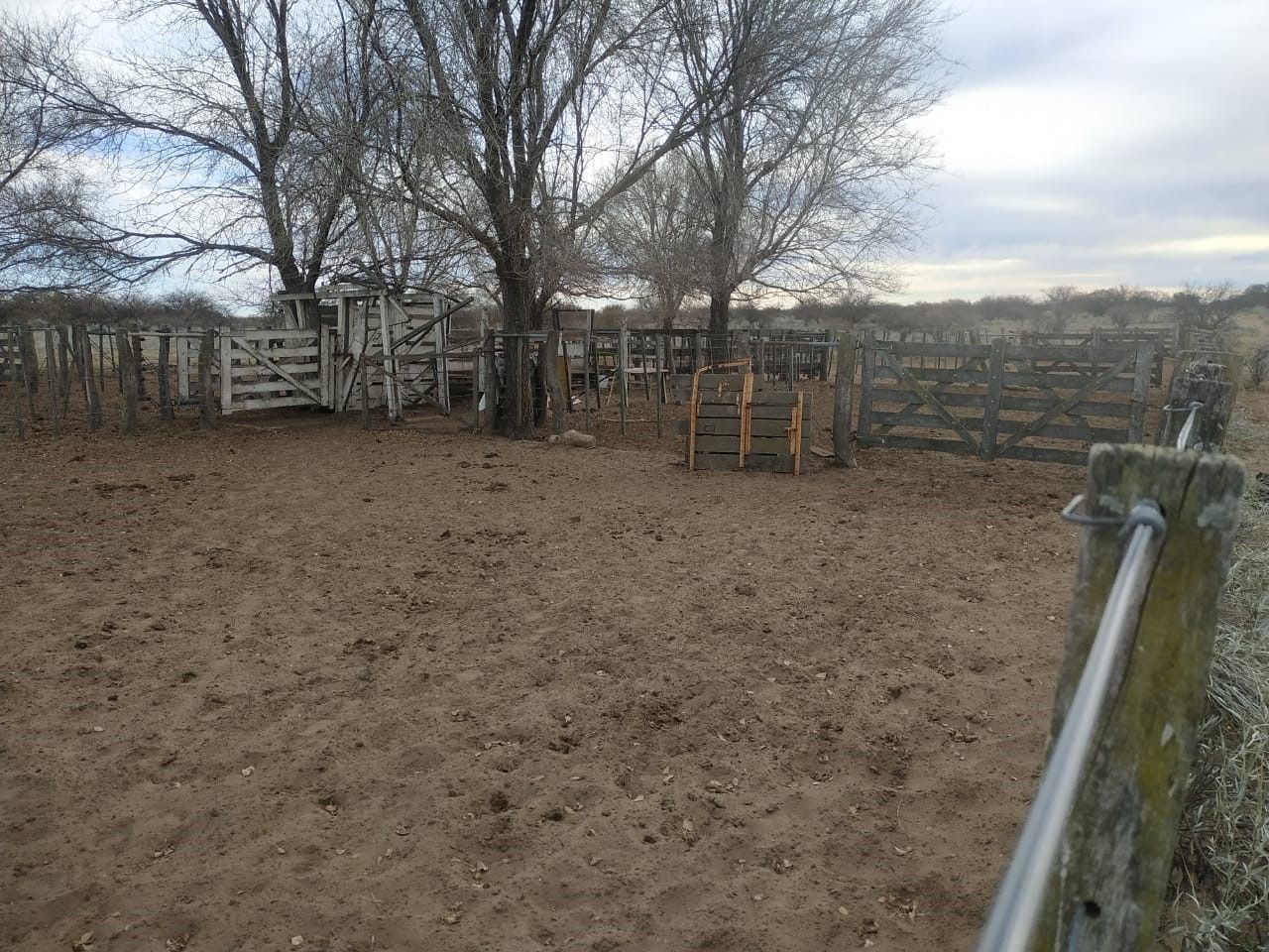 Campo  en Venta en Hucal-La Pampa,  Bahía Blanca - Bahía Blanca Propiedades | SITIO OFICIAL l