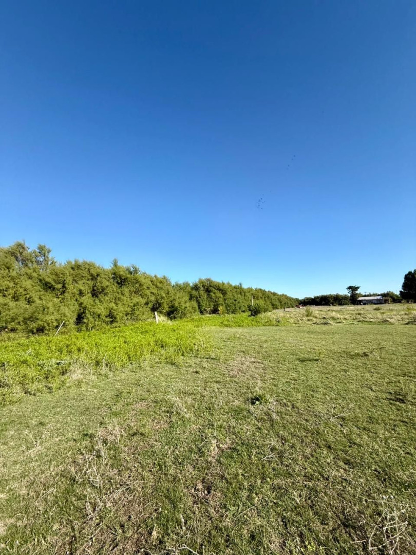Terreno en Venta en Luis Vera 670, Carrindanga, Bahía Blanca - Bahía Blanca Propiedades | SITIO OFICIAL l