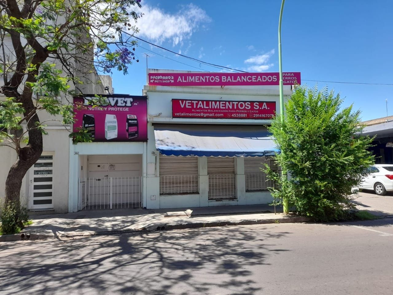 Terreno en Venta en Brandsen 263, Centro, Bahía Blanca - Bahía Blanca Propiedades | SITIO OFICIAL l