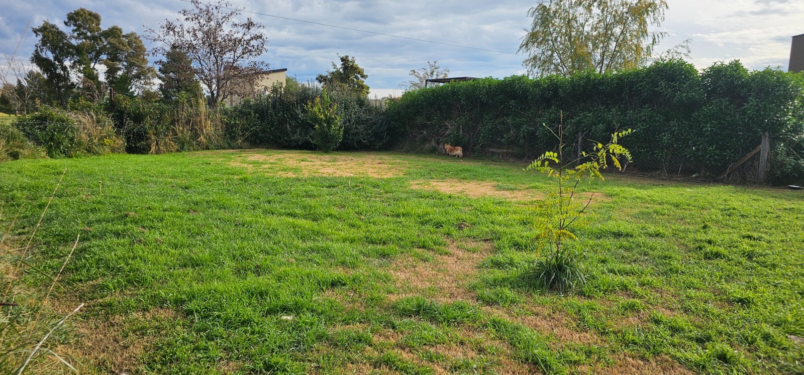 Casa en Venta en Pago Chico, Coronel Rosales , Pago Chico, Bahía Blanca - Bahía Blanca Propiedades | SITIO OFICIAL l