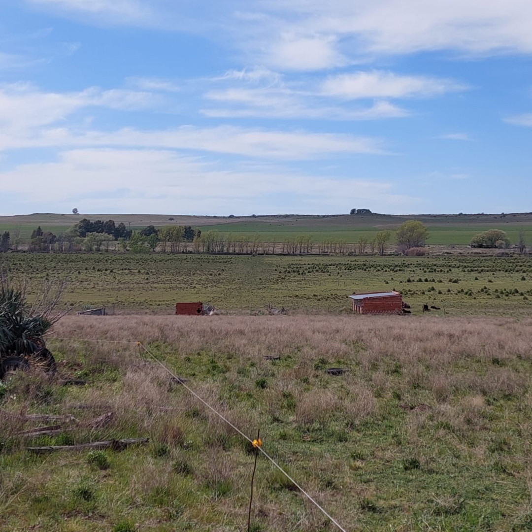 Campo  en Alquiler en Ruta 35, Km 44,  Tornquist - Bahía Blanca Propiedades | SITIO OFICIAL l