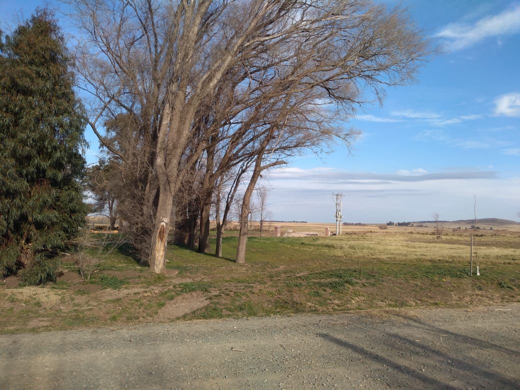 Terreno en Venta  Las Verbenas , Sierra de  la Ventana - Bahía Blanca Propiedades | SITIO OFICIAL l