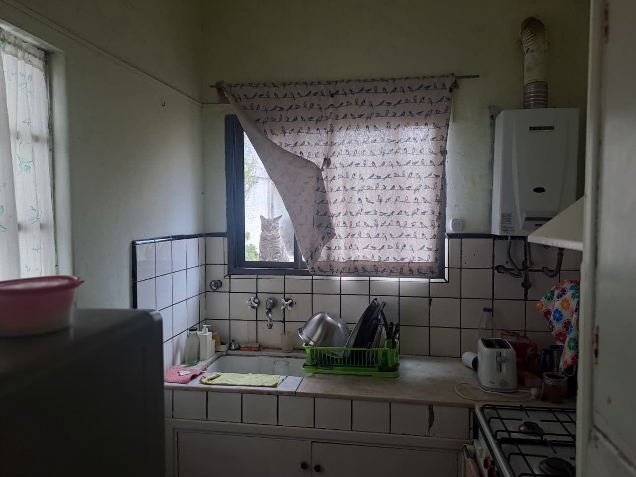 Casa en Venta en Trelew 543, Universitario, Bahía Blanca - Bahía Blanca Propiedades | SITIO OFICIAL l