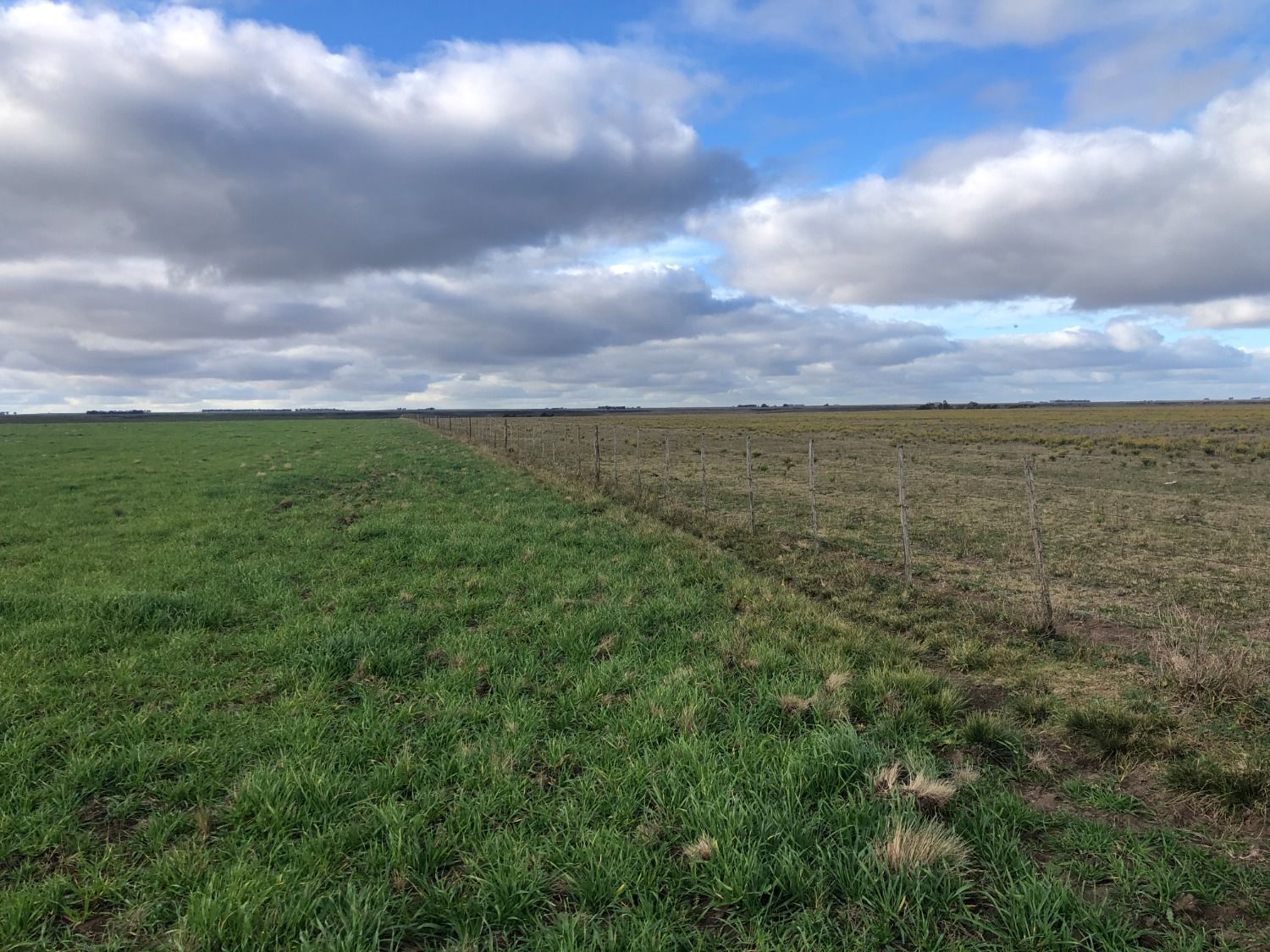 Campo  en Venta en Coronel Dorrego,  Coronel Dorrego - Bahía Blanca Propiedades | SITIO OFICIAL l