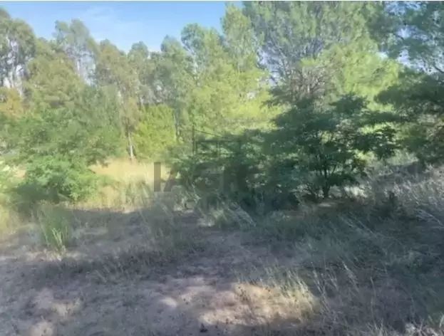 Terreno en Venta en Barrio Dufaur, Dufaur, Monte Hermoso - Bahía Blanca Propiedades | SITIO OFICIAL l