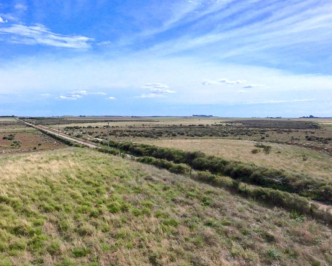 Campo  en Venta en A 4 Kilómetros De La Ruta 3.,  Teniente Origone - Bahía Blanca Propiedades | SITIO OFICIAL l