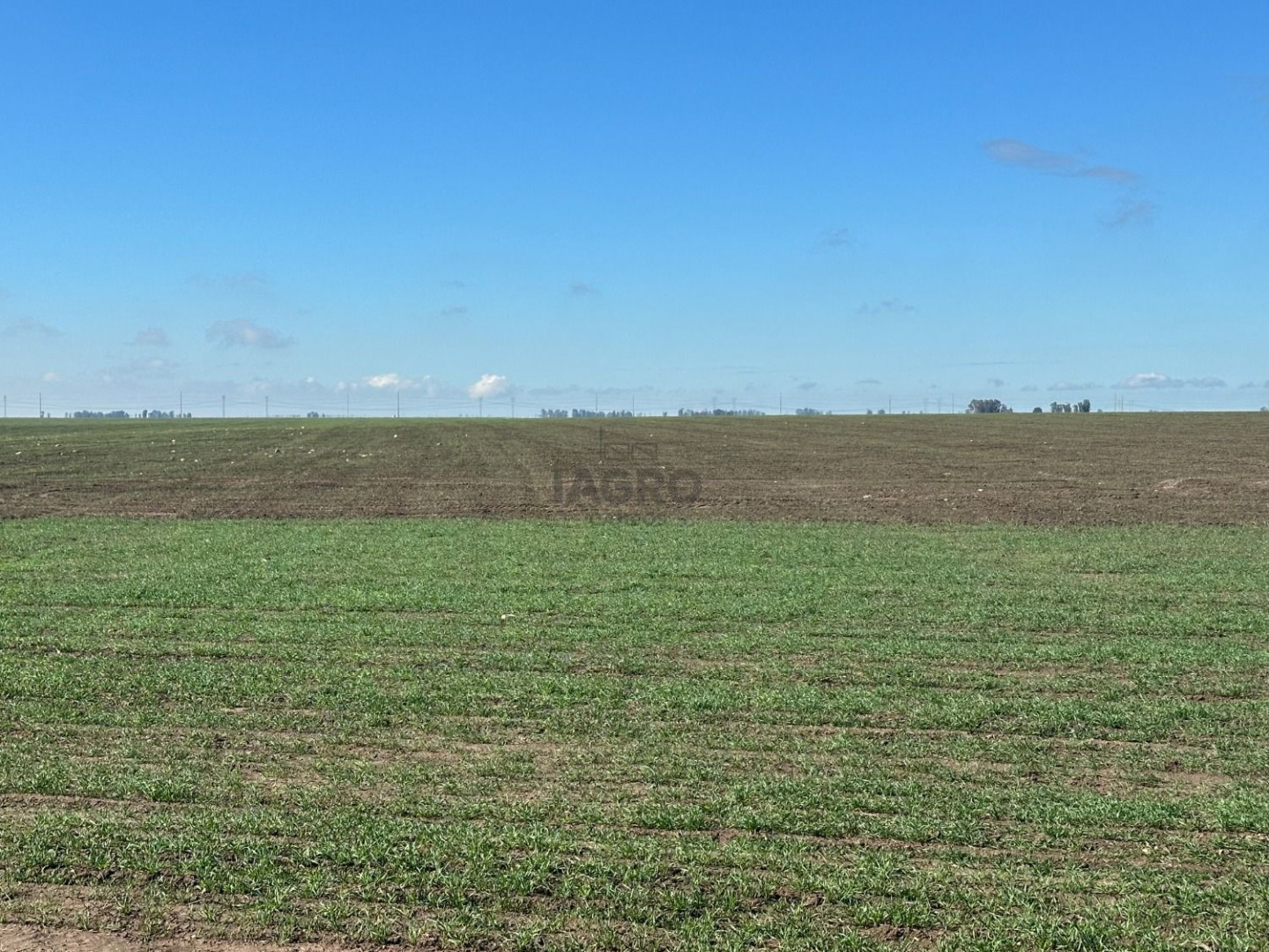 Campo  en Venta en Ruta 51,  Bahía Blanca - Bahía Blanca Propiedades | SITIO OFICIAL l