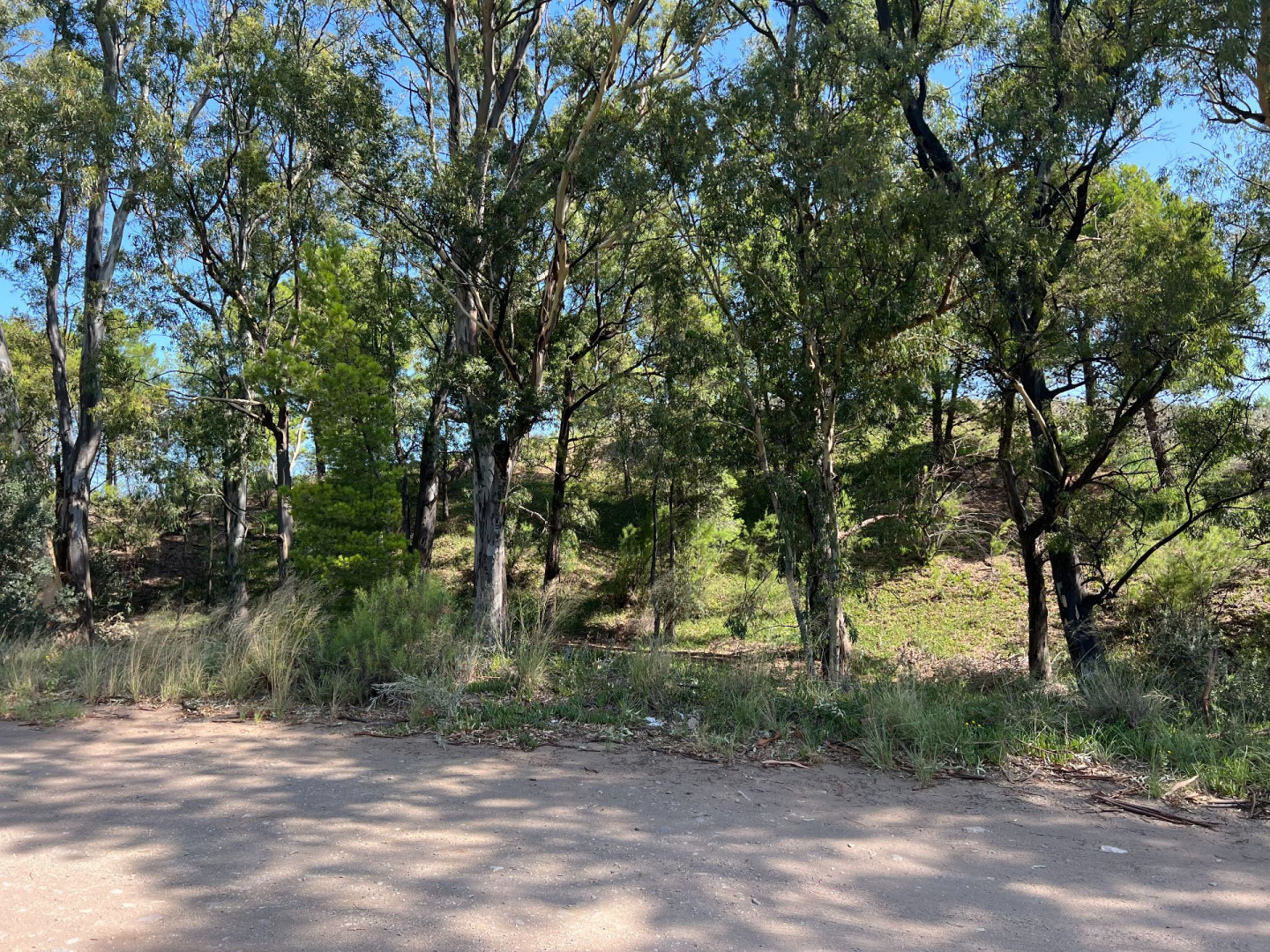Terreno en Venta en Calle 8,  Pehuen Co - Bahía Blanca Propiedades | SITIO OFICIAL l