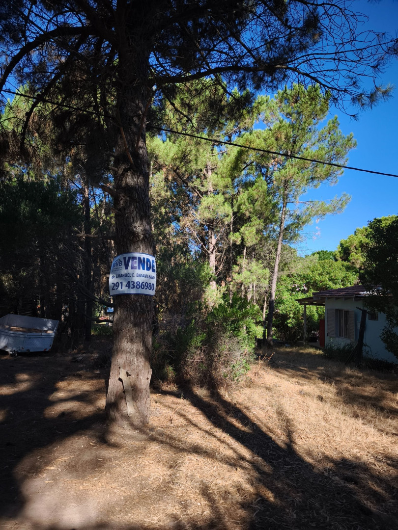 Terreno en Venta en Las Corvinas Y Las Toninas, Las Dunas, Monte Hermoso - Bahía Blanca Propiedades | SITIO OFICIAL l
