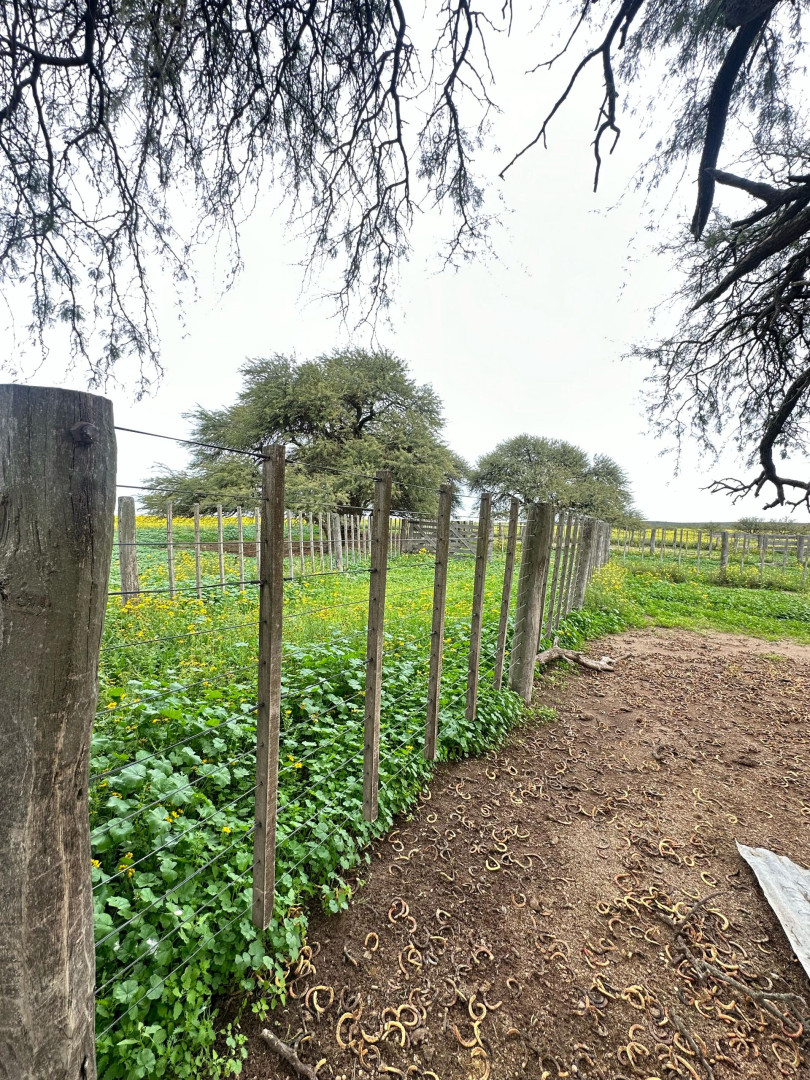 Campo  en Venta   Medanos - Bahía Blanca Propiedades | SITIO OFICIAL l
