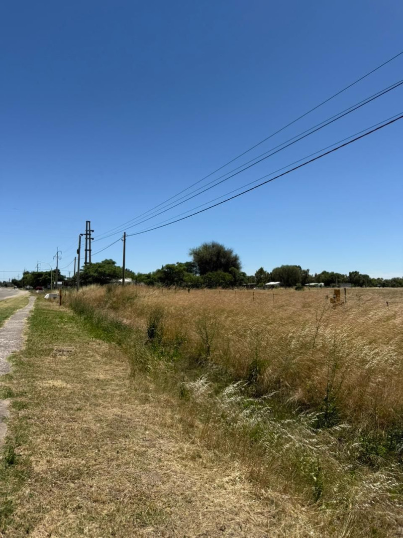 Terreno en Venta en Saavedra Y 15 De Julio,  Cabildo - Bahía Blanca Propiedades | SITIO OFICIAL l