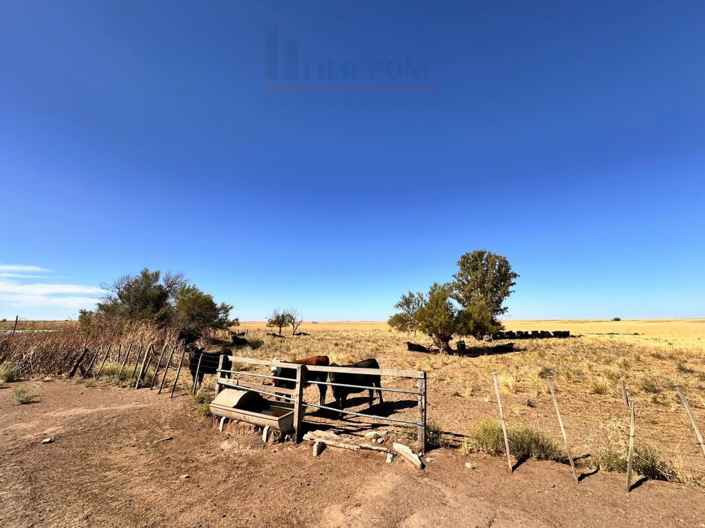 Campo  en Venta en Ruta 35,  Bahía Blanca - Bahía Blanca Propiedades | SITIO OFICIAL l