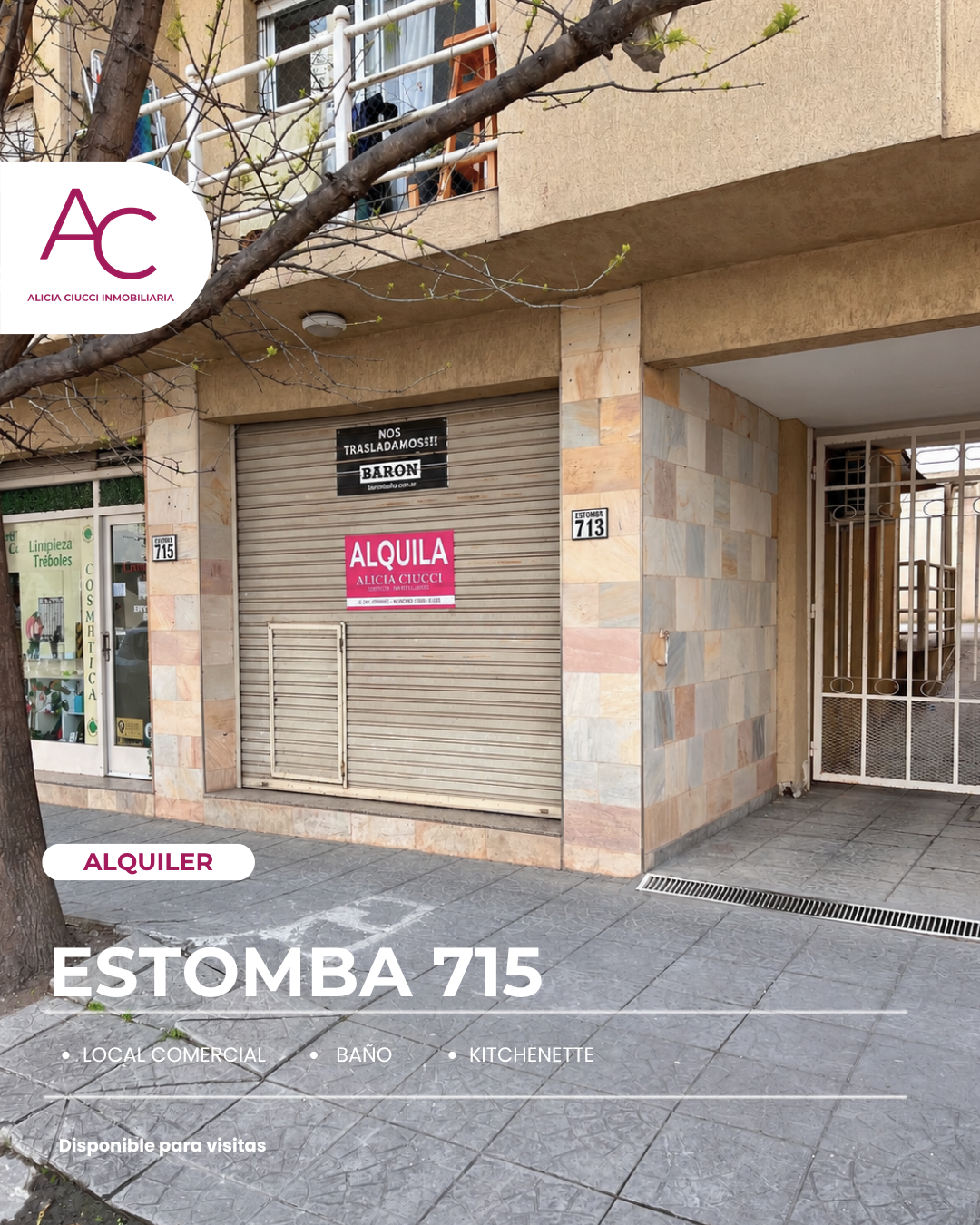 Local en Alquiler en Estomba 715, Centro, Bahía Blanca - Bahía Blanca Propiedades | SITIO OFICIAL l