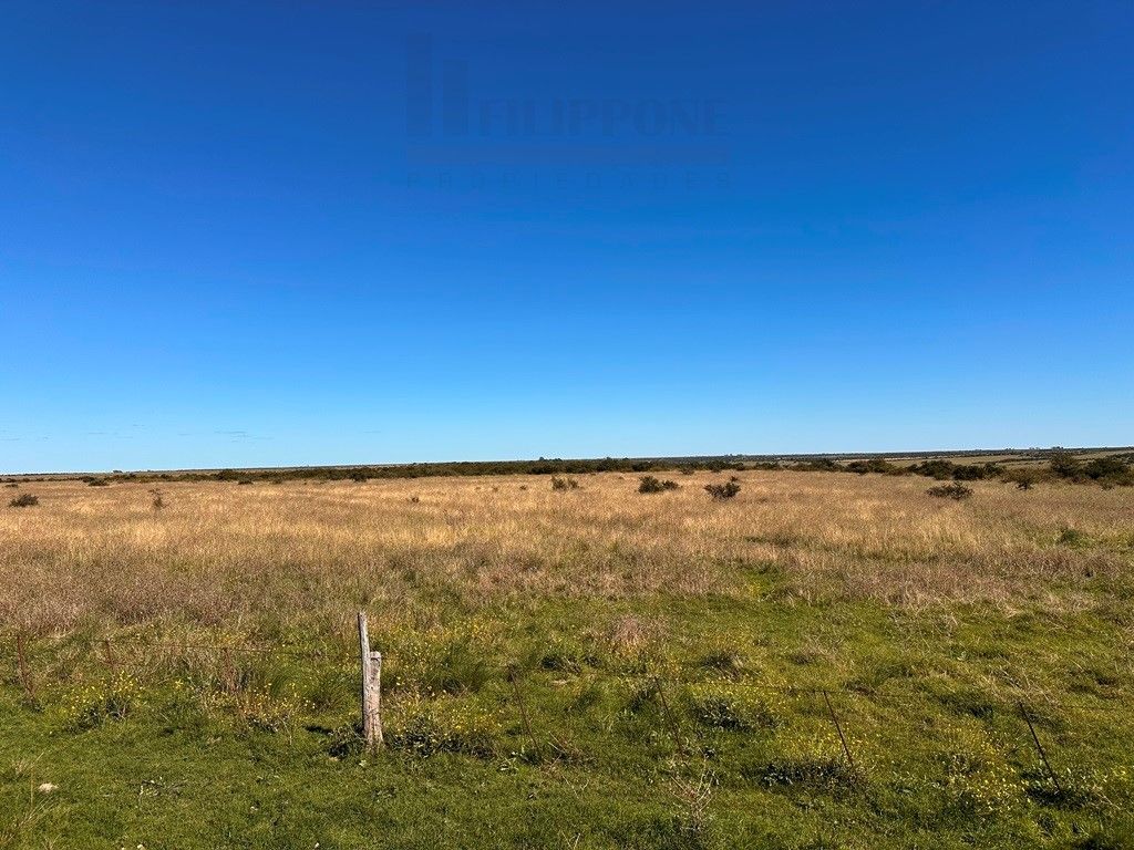 Campo  en Venta en Ruta 35 - Bahía Blanca Propiedades | SITIO OFICIAL l