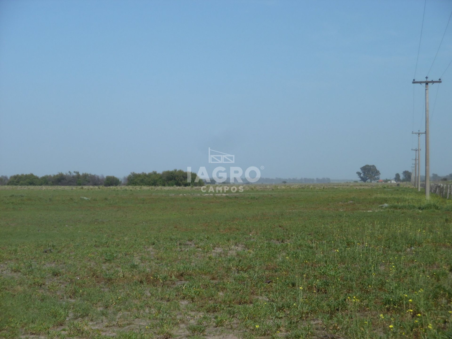 Campo  en Venta en Colonia La Merced,  Villarino - Bahía Blanca Propiedades | SITIO OFICIAL l