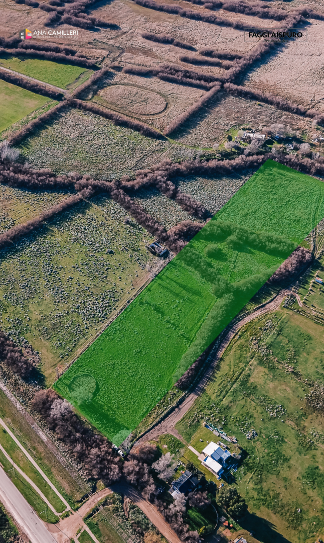 Terreno en Venta en Florida 3300, Carrindanga, Bahía Blanca - Bahía Blanca Propiedades | SITIO OFICIAL l