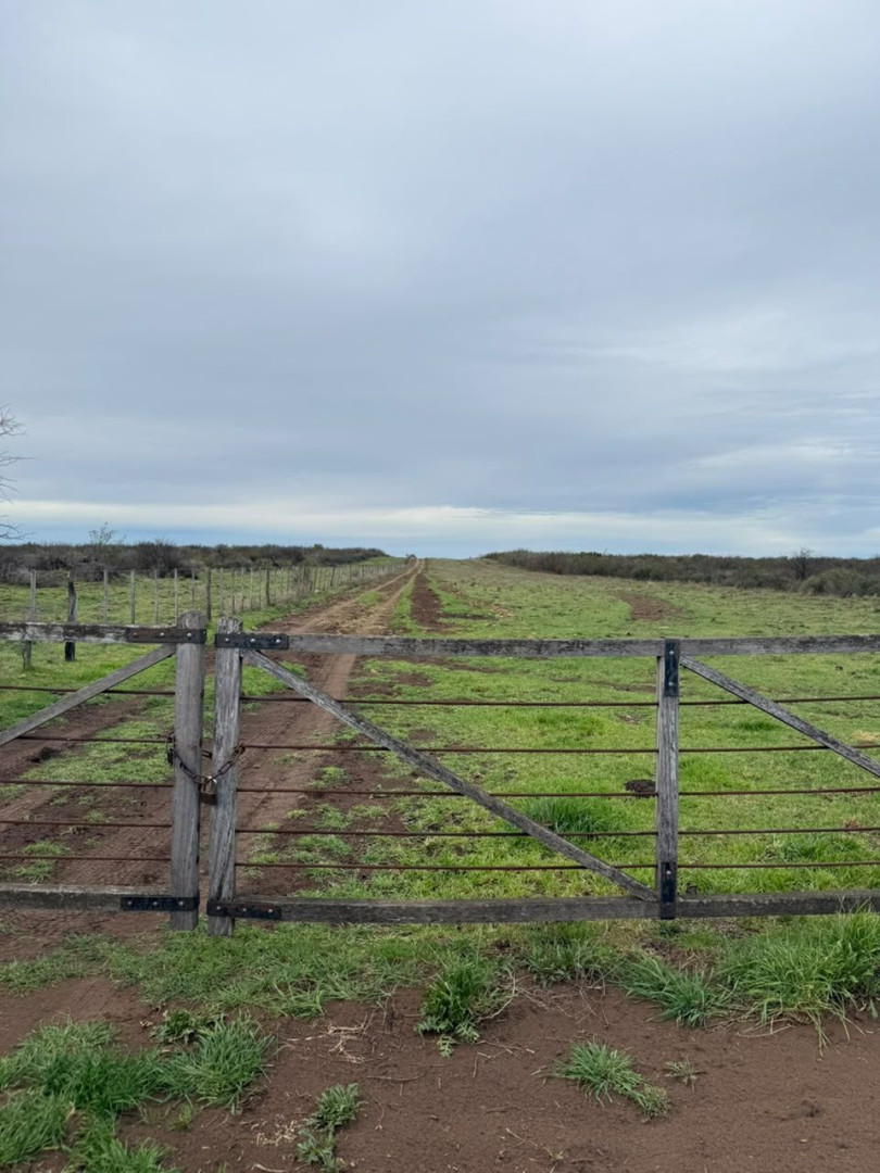 Campo  en Venta   Medanos - Bahía Blanca Propiedades | SITIO OFICIAL l