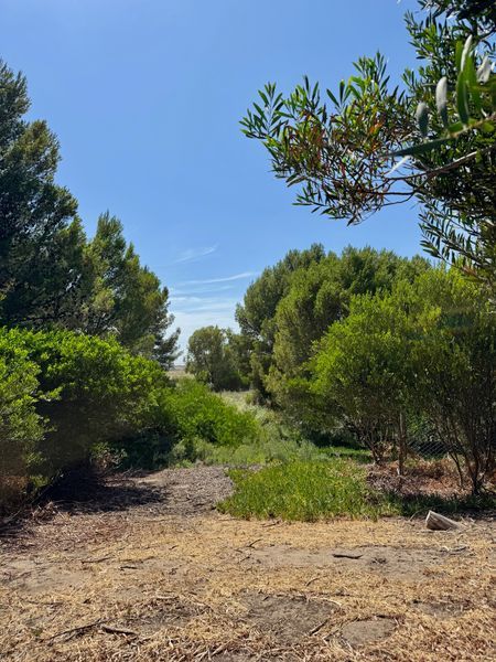 Terreno en Venta en La Florida, El Sauce, Monte Hermoso - Bahía Blanca Propiedades | SITIO OFICIAL l