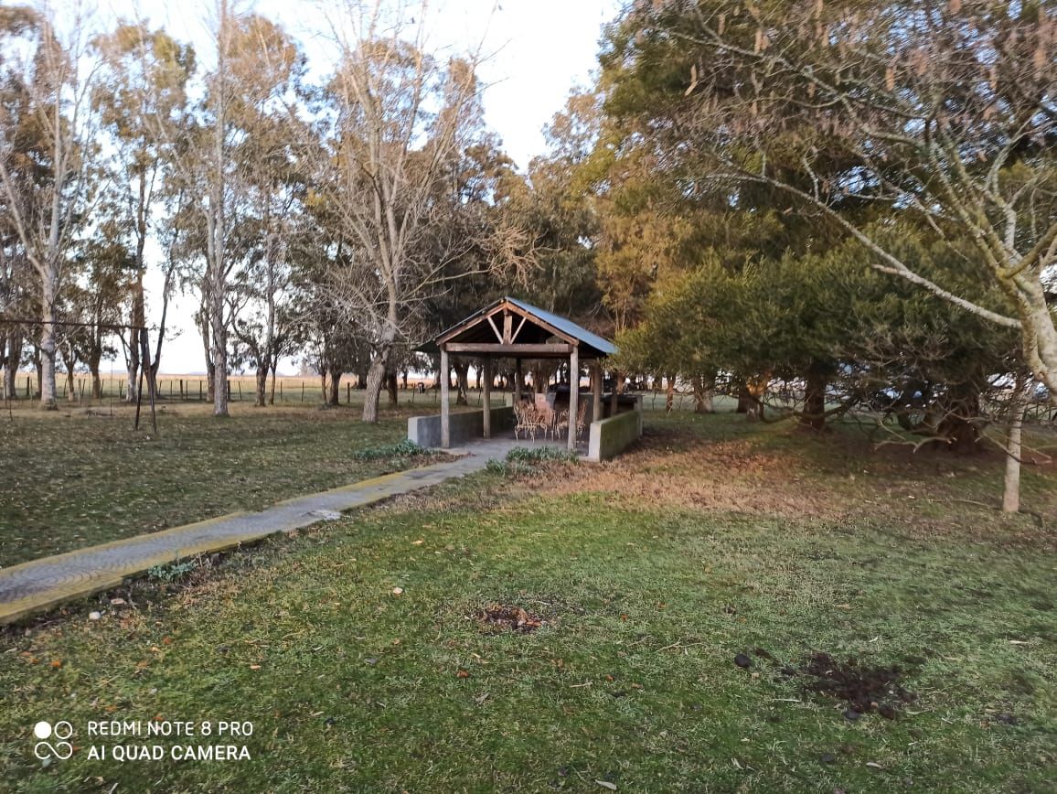 Campo  en Venta - Bahía Blanca Propiedades | SITIO OFICIAL l